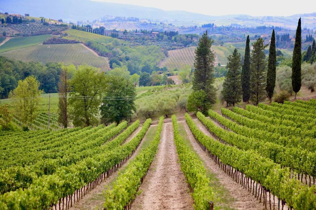Lovely 2 Bedroom In San Gimignano Historic Center 外观 照片